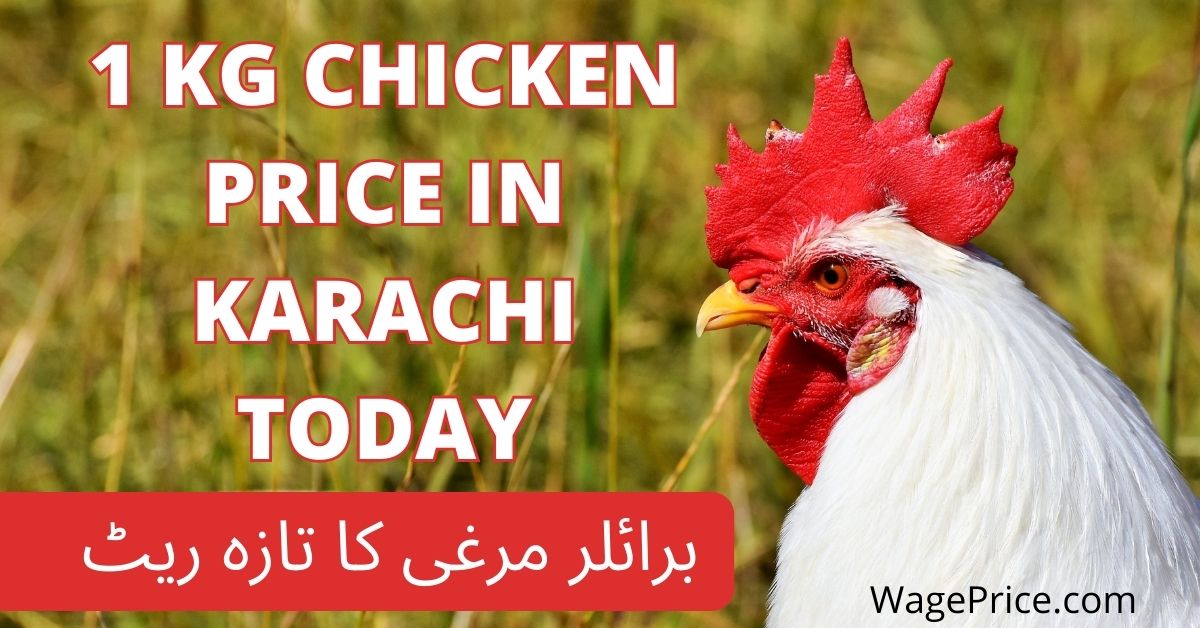 1 Kg Chicken Price in Karachi Today