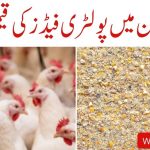 Poultry Feed Price in Pakistan