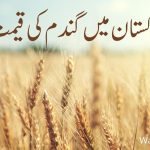 پاکستان میں گندم کی قیمت