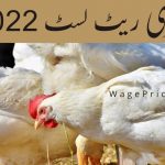 پولٹری مرغی کا ریٹ 2022 - مرغی کے گوشت کی قیمت