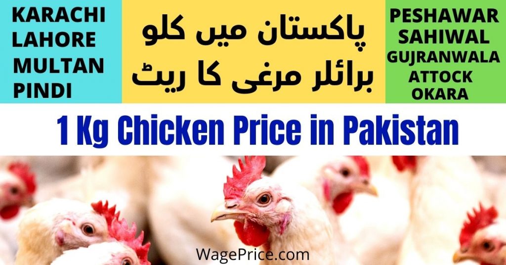 1-kg-chicken-price-in-pakistan-today-2022