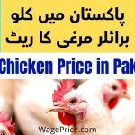 1 Kg Chicken Price in Pakistan Today 2022