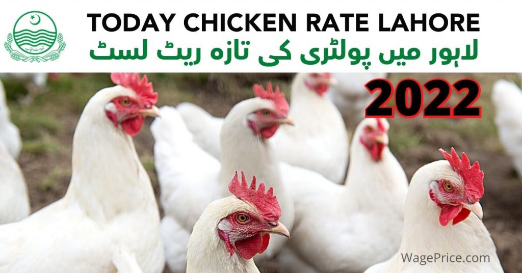 poultry-rate-today-lahore-2022-latest-list