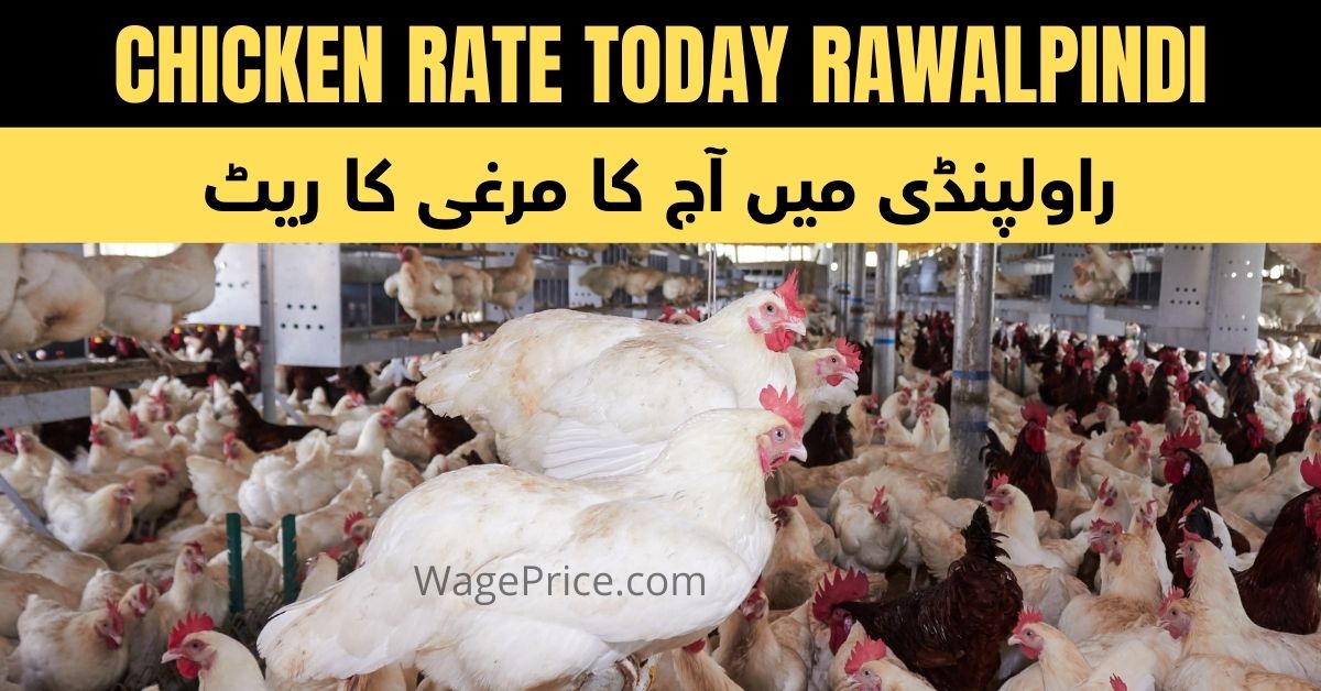 Chicken Rate Today Rawalpindi 2022