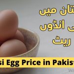 Desi Egg Price in Pakistan 2022