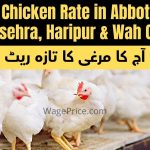 Today Chicken Rate in Abbottabad, Mansehra, Haripur & Wah Cantt