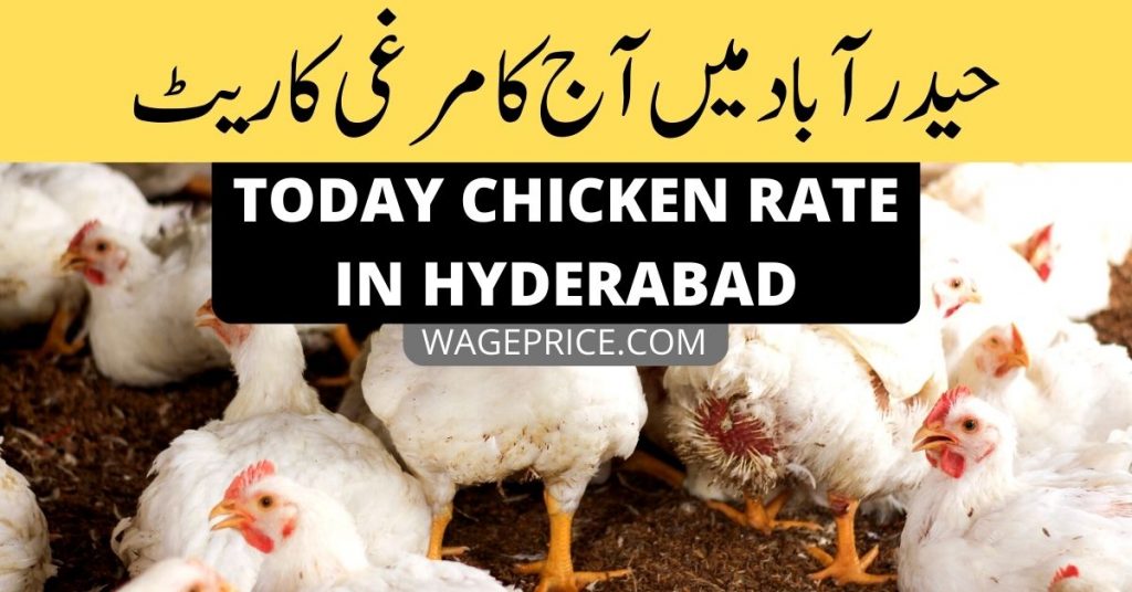 today-chicken-rate-in-hyderabad-sindh-2022