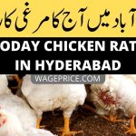 Today Chicken Rate in Hyderabad Sindh 2022
