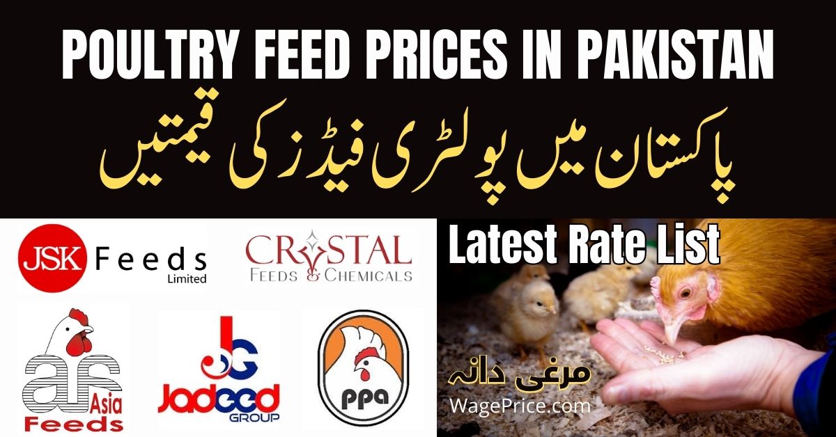 Poultry Feed Prices in Pakistan 2022