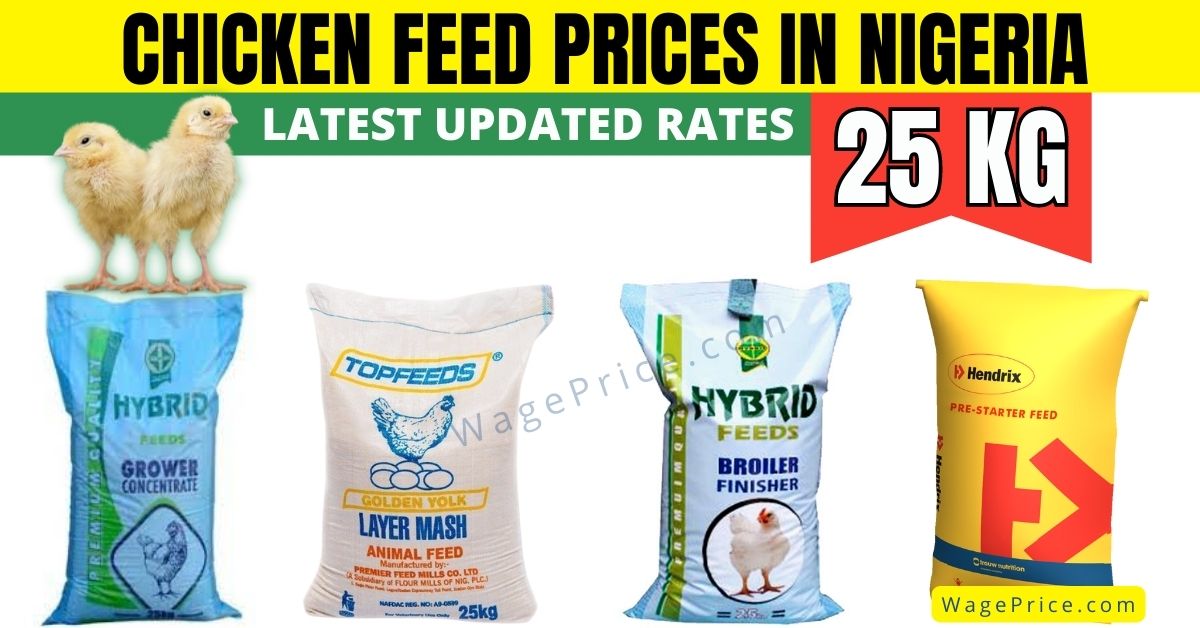 Chicken Feeds Price List in Nigeria 2022 [UPDATED]
