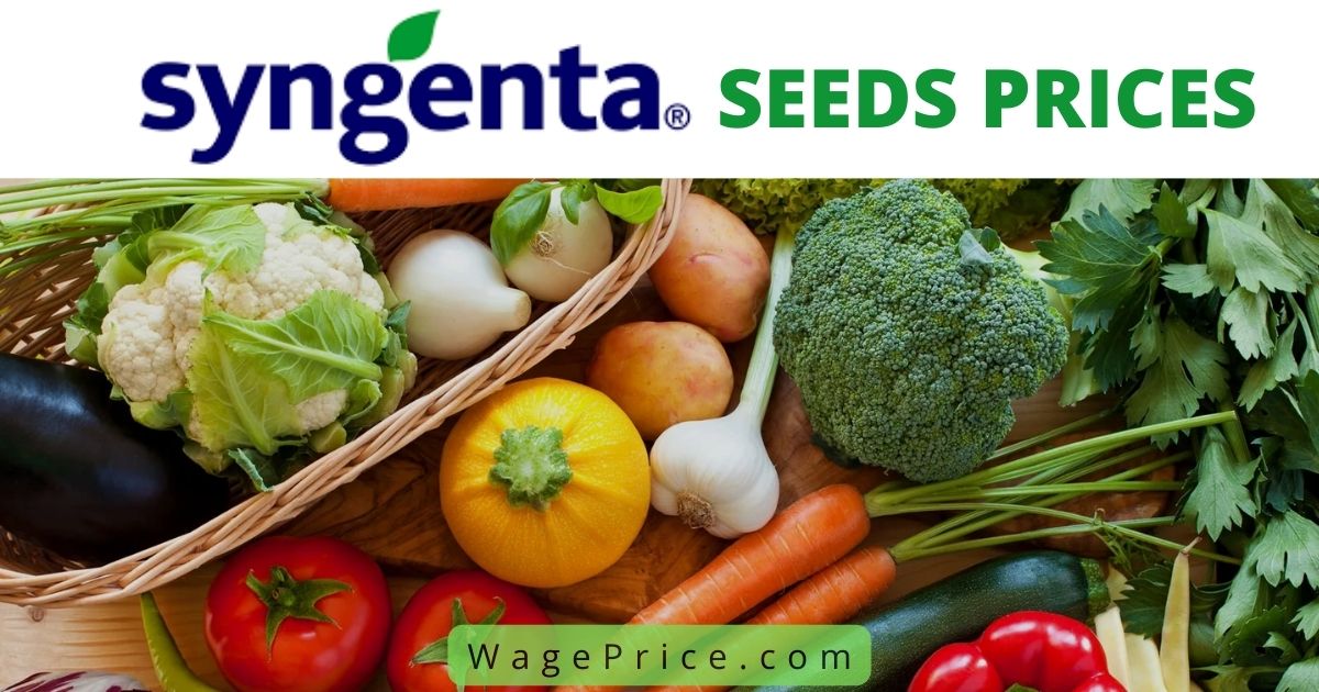 Syngenta Seeds Price List 2022 in India
