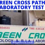 Green Cross Lab Price List 2022