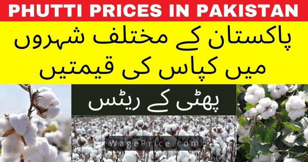 phutti-price-in-pakistan-today-2024-cotton-rate-in-punjab-updated