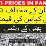 Phutti Price in Pakistan Today 2022 | Cotton Rate in Punjab | Kapas ka Rate