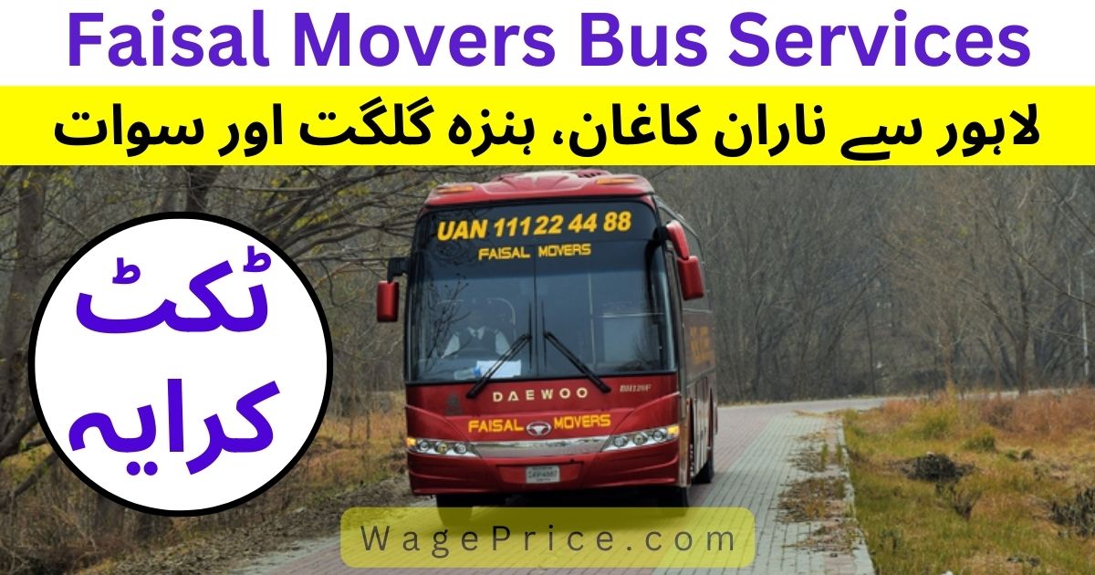 Faisal Movers Lahore To Naran, Hunza & Gilgit Fare & Ticket Price 2023 [UPDATED]