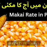 Makai Rate in Pakistan Today | Maize Price in Pakistan 2023[UPDATED]