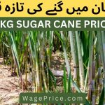 Sugar Cane Rate in Pakistan 2023 40 KG [UPDATED]