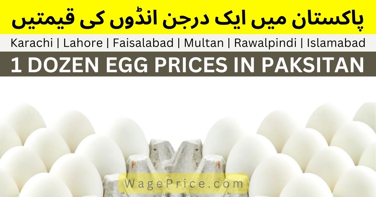 Today Egg Rate in Pakistan | 1 Dozen Farmi Eggs Prices