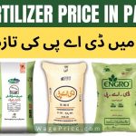DAP Fertilizer Price in Pakistan 2023