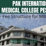 PAK International Medical College Fee Structure 2023 for MBBS