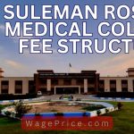 Suleman Roshan Medical College Fee Structure 2023