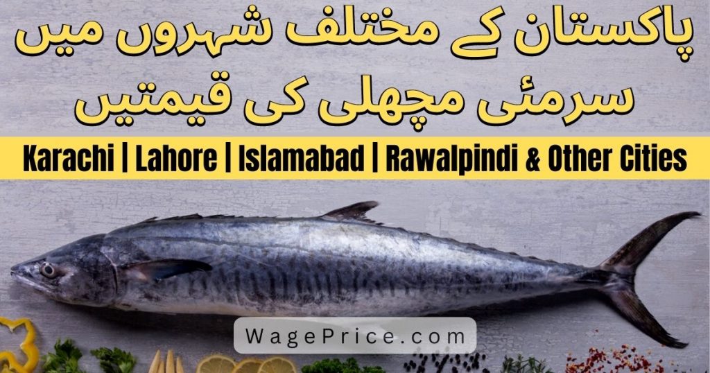 Surmai Fish Price In Pakistan Karachi Lahore Islamabad Rawalpindi sowa-fish-in-pakistan-most-expensive-fish-croaker-fish-soha
