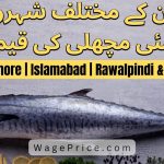 Surmai Fish Price in Pakistan | Karachi, Lahore, Islamabad, Rawalpindi & Other Cities