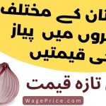 1 KG Onion Price in Pakistan Today 2023