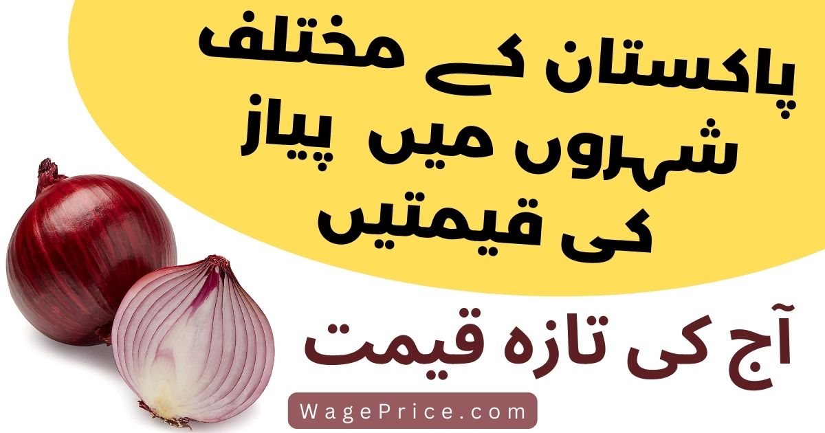 1 KG Onion Price in Pakistan Today 2023