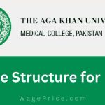 Aga Khan University Medical College Fee Structure 2023 for MBBS
