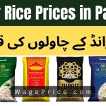 Al Noor Rice Price List 2023 in Pakistan [UPDATED]