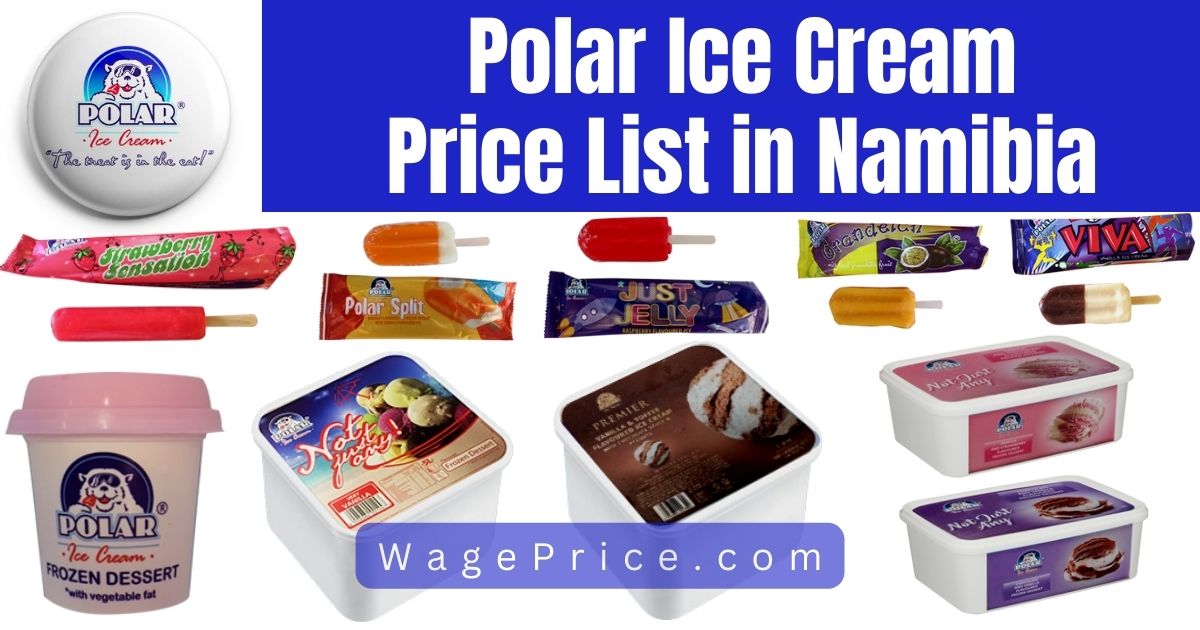 Polar Ice Cream Price List in Namibia 2023