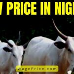 Prices of Cow in Nigeria 2023