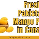 Pakistani Mango Price in Canada 2023, 1 Kg Pakistani Mango Rates in Canada 2023, How to Buy Pakistan Mangoes in Canada?