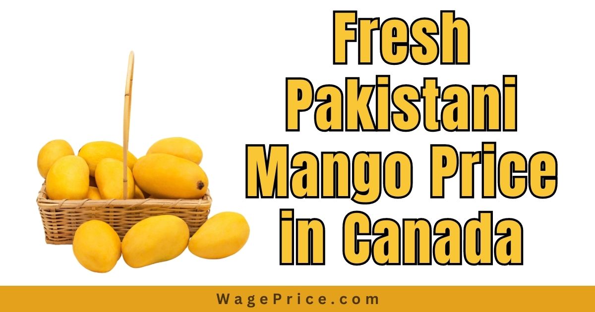 Pakistani Mango Price in Canada 2023, 1 Kg Pakistani Mango Rates in Canada 2023, How to Buy Pakistan Mangoes in Canada?