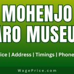 Mohenjo Daro Museum Ticket Price 2023 | Entry Fee | Address | Timings | Phone Number