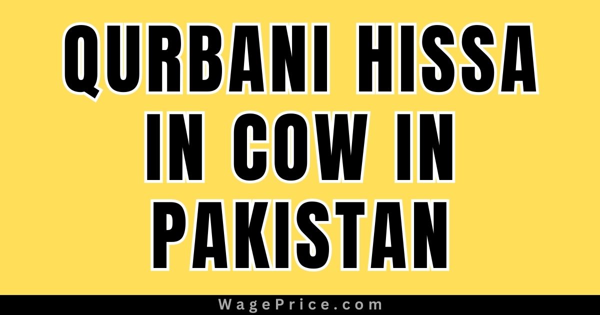 Qurbani Hissa in Cow 2023 in Pakistan, Eid ul Adha Qurbani Hissa Price in Cow 2023, Qurbani Hissa Rates in Cow 2023 in Pakistan