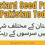 Mustard Seed Price in Pakistan Today 2023 | Sarso 40 Kg Price in Pakistan 2023 Today