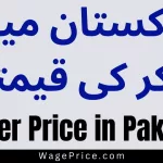 Choker Price in Pakistan 2024 [New Rates]